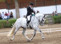 W FER MARENGO DE Y. FERRERO, PLATA EN SEMENTALES DE 5 Y 6 A MONTA IGNACIO BRAVO